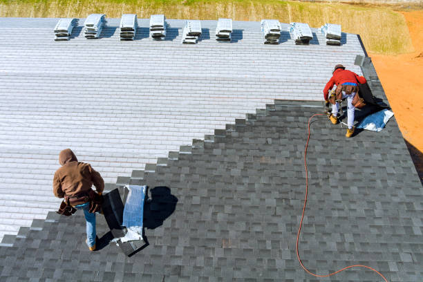 Best Metal Roofing Contractor  in Burlington, WI