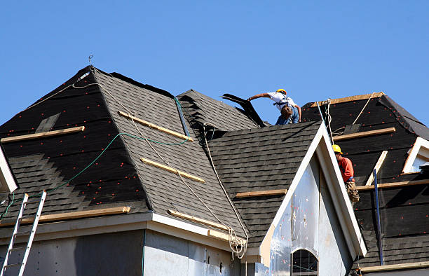 Best Metal Roofing Contractor  in Burlington, WI