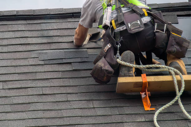 Best Roof Leak Repair  in Burlington, WI