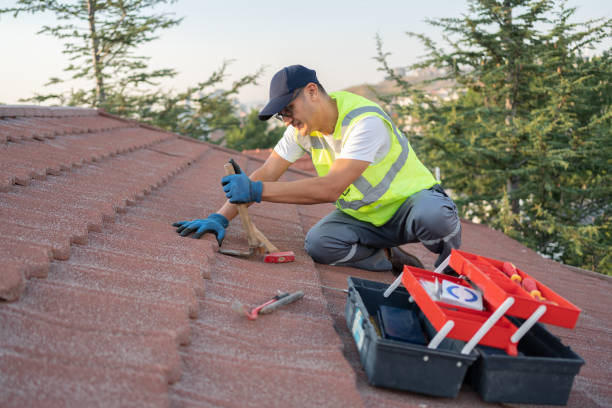 Best Roof Waterproofing Services  in Burlington, WI