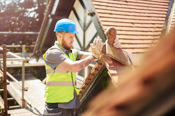 Best Shingle Roofing Installation  in Burlington, WI