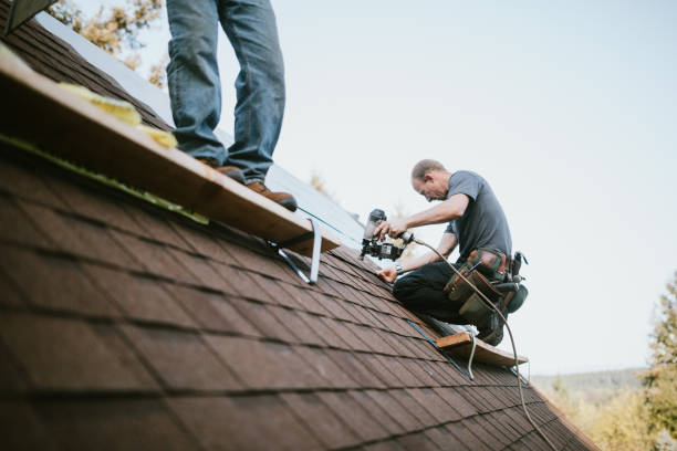 Best Residential Roofing Contractor  in Burlington, WI
